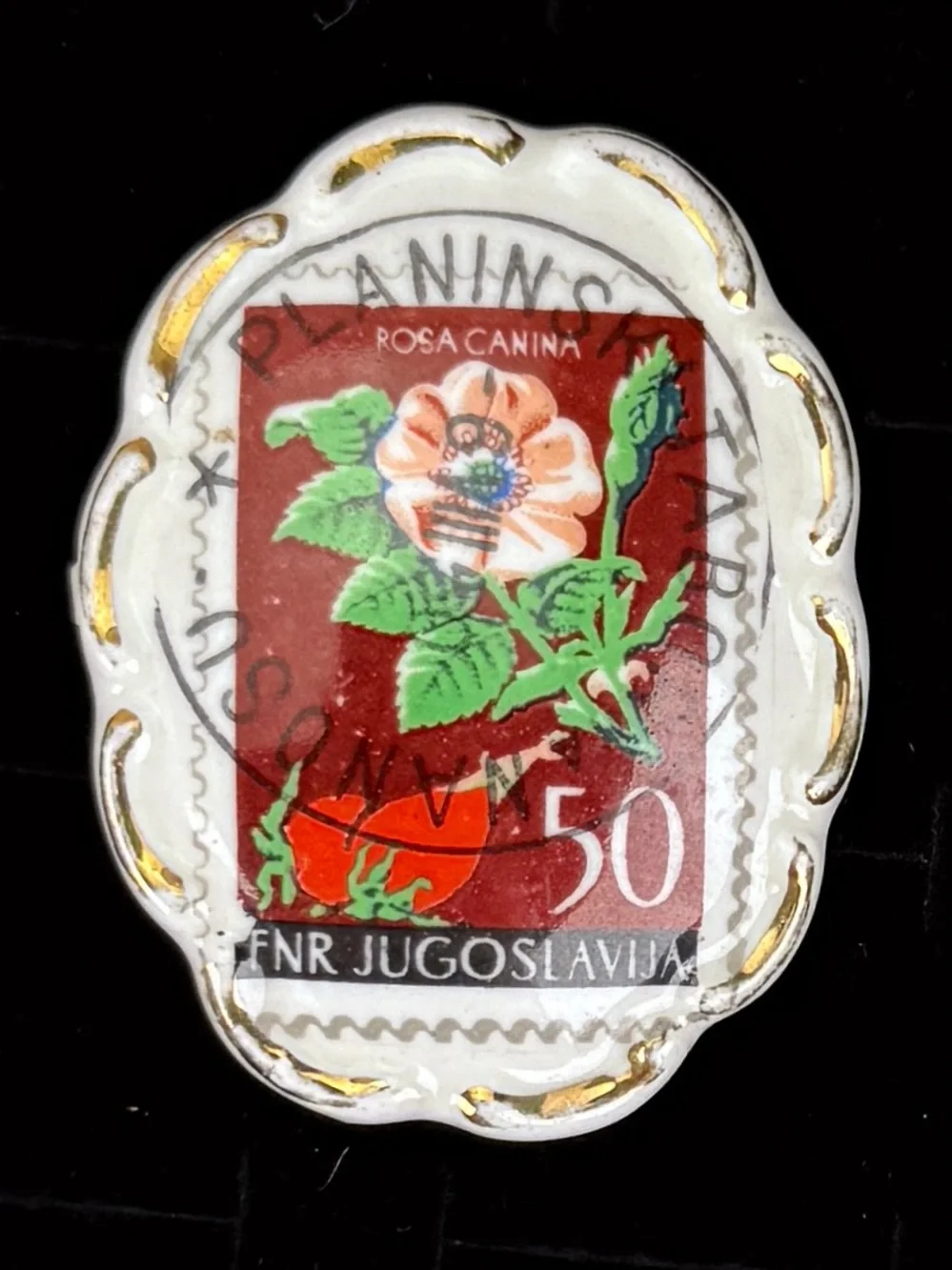 Vintage Yugoslavia Rosa Canina Postage Stamp Botanical Brooch Dual Prong